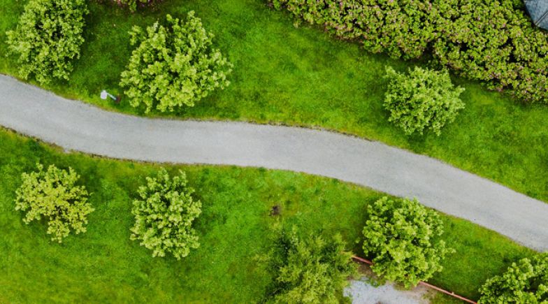 Road with trees and grass on each side